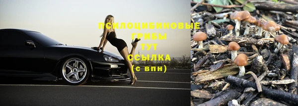 каннабис Алексин
