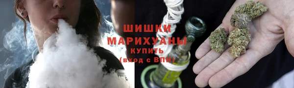 ПСИЛОЦИБИНОВЫЕ ГРИБЫ Алзамай