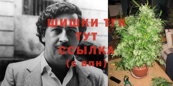 винт Аркадак