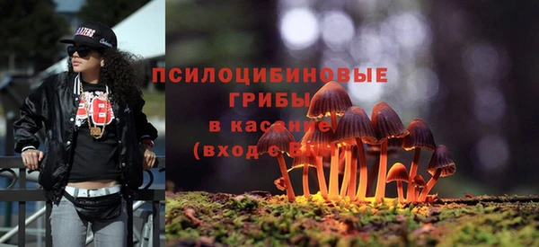 винт Аркадак