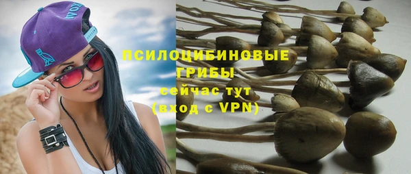 прущие крисы Арсеньев