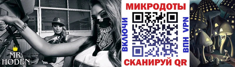 Галлюциногенные грибы MAGIC MUSHROOMS  где можно купить   Ленинск-Кузнецкий 