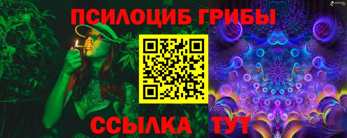Ленинск-Кузнецкий  Галлюциногенные грибы Psilocybe  Вход с VPN 