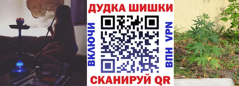 Каннабис план  продажа наркотиков  Ленинск-Кузнецкий 